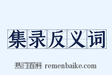 集录反义词是什么意思的图片